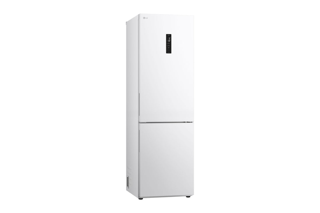 Холодильник LG GC-B459AQQW &mdash; фото 15
