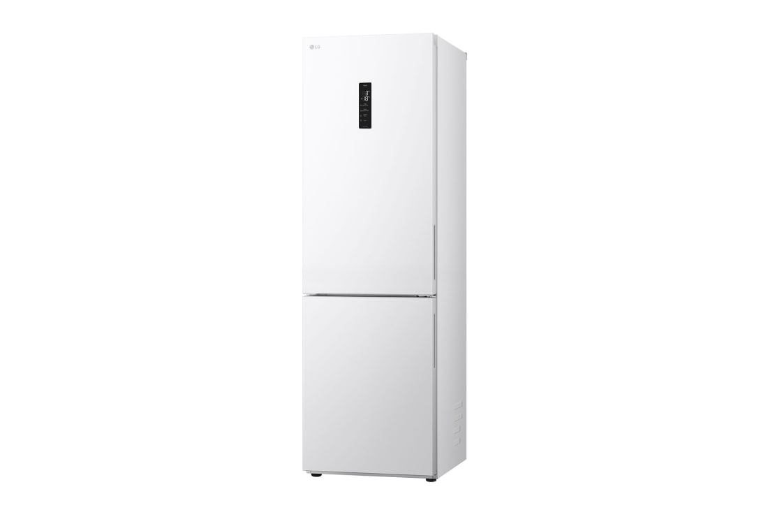 Холодильник LG GC-B459AQQW &mdash; фото 16