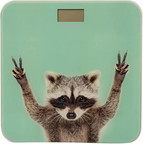 Весы напольные Hyundai H-BS03589 мятный Весы напольные Hyundai H-BS03589 мятный